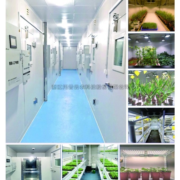 一文了解植物人工气候室是什么？