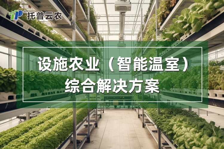 设施农业综合解决方案