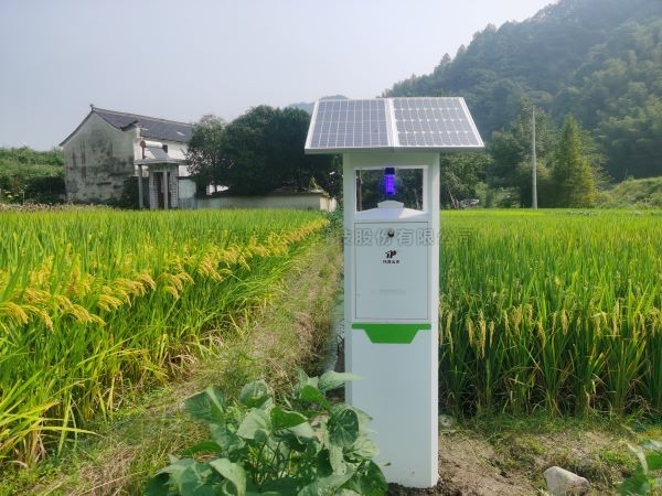 从“新”出发！向日葵网页版小虫体智能测报系统迈向纵深发展新阶段