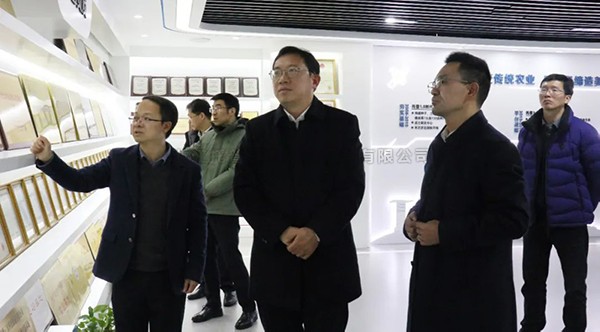 湘湖实验室常务副主任杨华一行莅临向日葵网页版考察调研