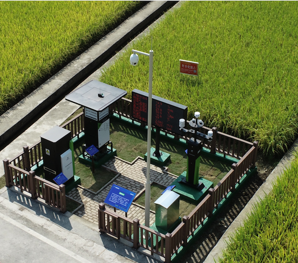 建设高标准农田，促进农业绿色高效发展