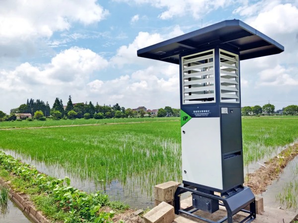 厉害了！连续两年向日葵网页版第一！