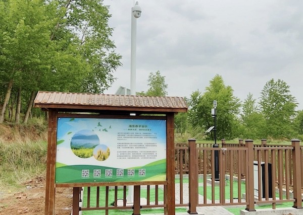 走进国家级油菜夏繁基地，感受科技赋能蓬勃动力