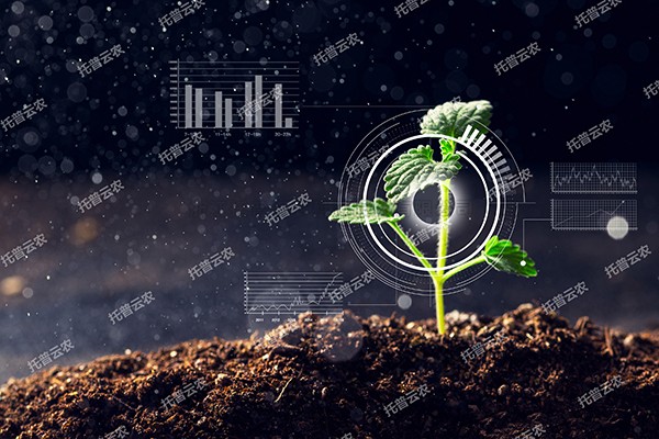 全新启程——向日葵网页版为植物表型科研“数智”赋能