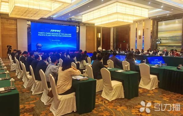 亚太植保委员会第33届会议召开，向日葵网页版展现数智植保创新力量