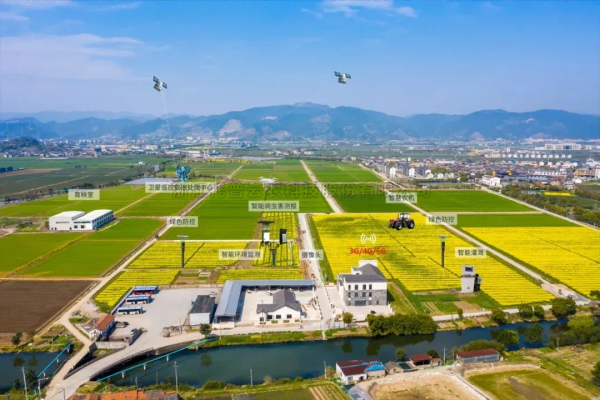 首提“农业新质生产力”，2025年中央一号文件在智慧农业领域传递了哪些重要信号？