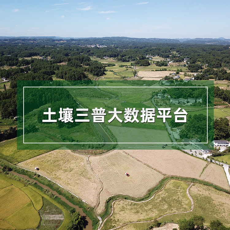 向日葵污视频APP三普大数据平台