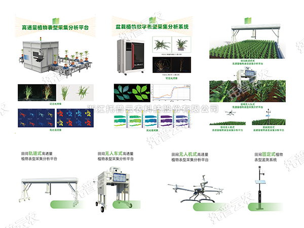 AI+农业新突破！托普高通量植物表型智能分析平台助力智慧农业创新发展