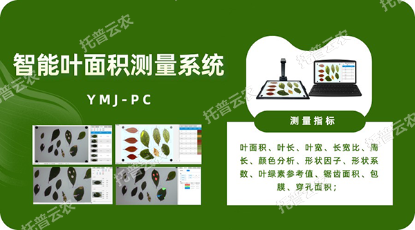 智能叶面积测量系统——秒级快速测叶片，多参数同步解析，云端数据好管理