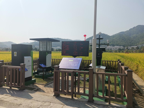 向日葵网页版农作物病虫害监测点