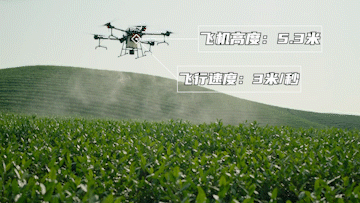 1684907320422697.png 图片1.png