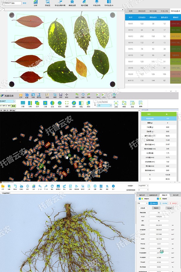 1724749162574626.jpg 4.jpg