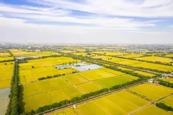 1740475290660692.png seo- (2).png