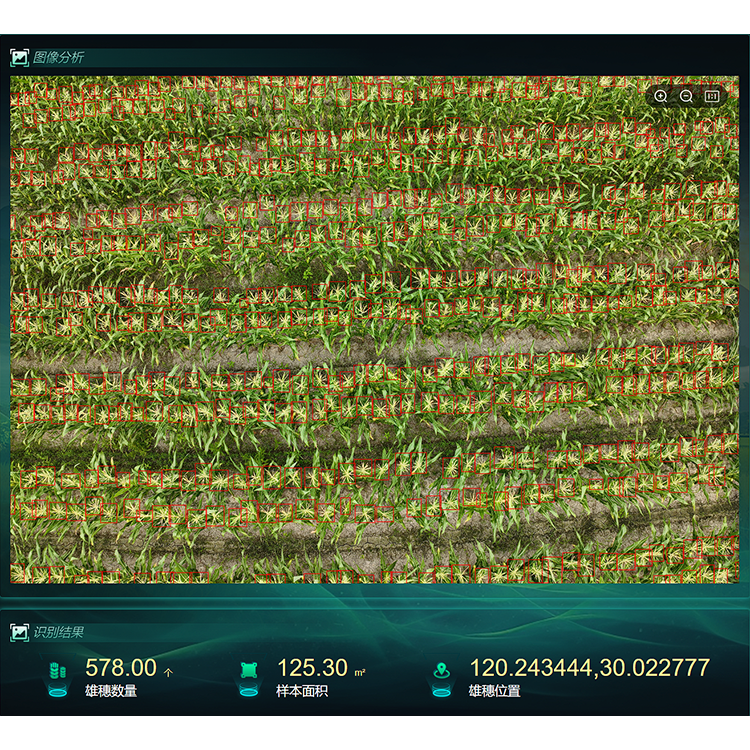 【750】玉米表型生长监测系统1.png