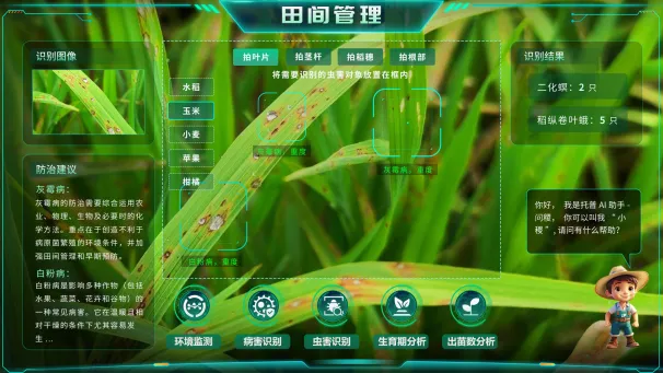 1748589770869990.png 图片11_副本.png