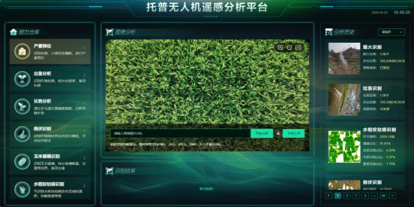 1750905823263408.png seo-4.png